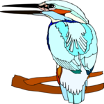 Kingfisher 11