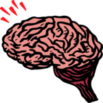 Brain 2