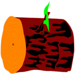 Log