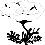 Flower 089