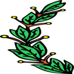 Leaf Border 16