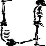 Skeleton U