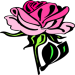 Rose 44
