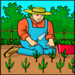 Farmer 12