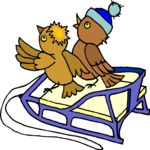 Birds Sledding