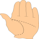 Palmestry 3