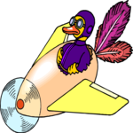 Duck Flying Plane