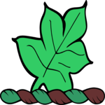 Leaf