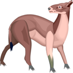 Hyracotherium