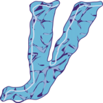 Crinkle Italic Y 2