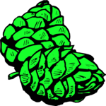 Artichokes