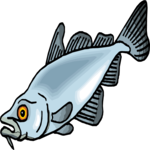 Fish 231