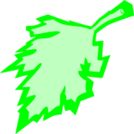 Leaf 081