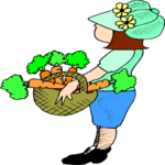 Gardener 45