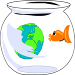 Fish & Globe