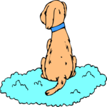 On Cloud - Dog