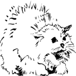 Cat 07