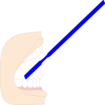 Toothbrush 2