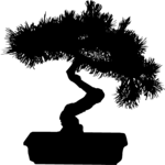 Bonsai Tree 1