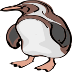 Penguin 11