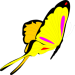 Butterfly 013