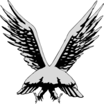 Bird - Rear View