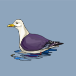 Seagull 13