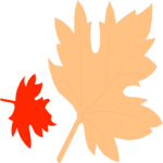 Leaves 08