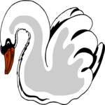 Swan 12