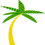 Palm Tree 36