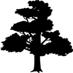 Tree 048