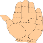 Palmestry 1