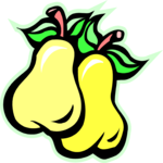 Pears 04