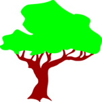 Tree 040