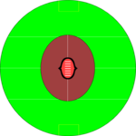 Australian Football