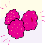 Raspberries 1