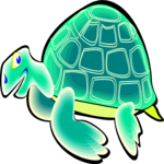 Turtle 9