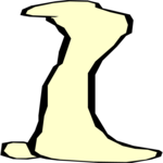 Bone 5