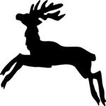 Stag 7