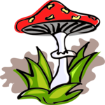 Mushroom 13