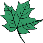 Leaf 092