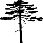 Tree 006
