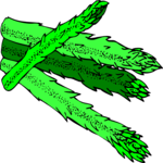 Asparagus 09