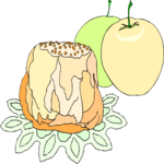 Apples & Dumpling