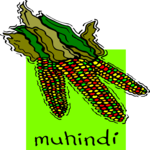 Muhindi