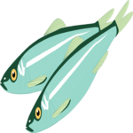 Fish 015