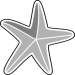 Starfish 16