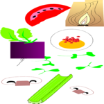 Assorted Veggies 08