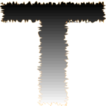 Charcoal Condensed T 1