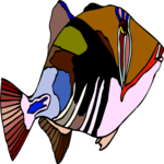 Huma Huma Triggerfish